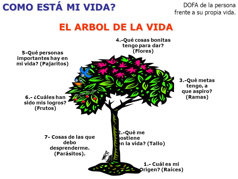Arbol de la vida significado regalo